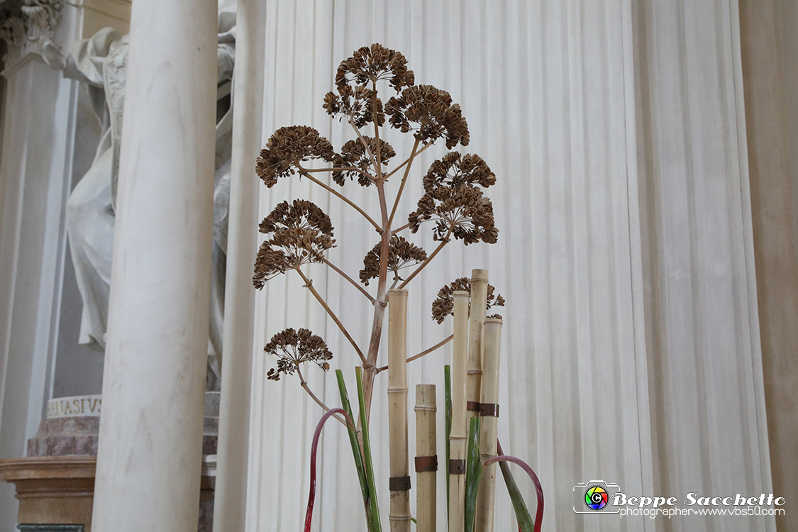 VBS_0349 - Corollaria Flower Exhibition 2022.jpg
